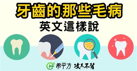 牙齒 單數|你也有蛀牙的毛病？知道英文怎麼說嗎？